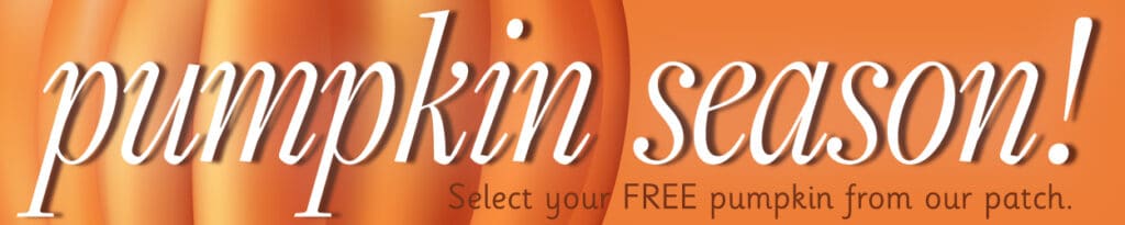 Green Meadows Farm Pumpkin Picking Season Patch Pony Rides Outdoor Birthday Parties