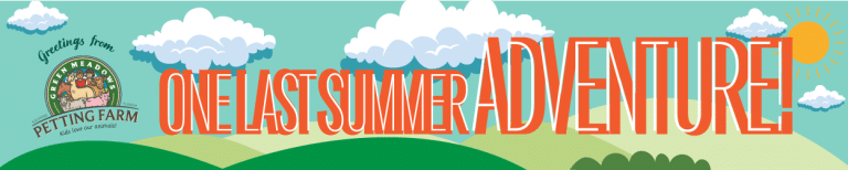 August Green Meadows Farm Summer Adventure