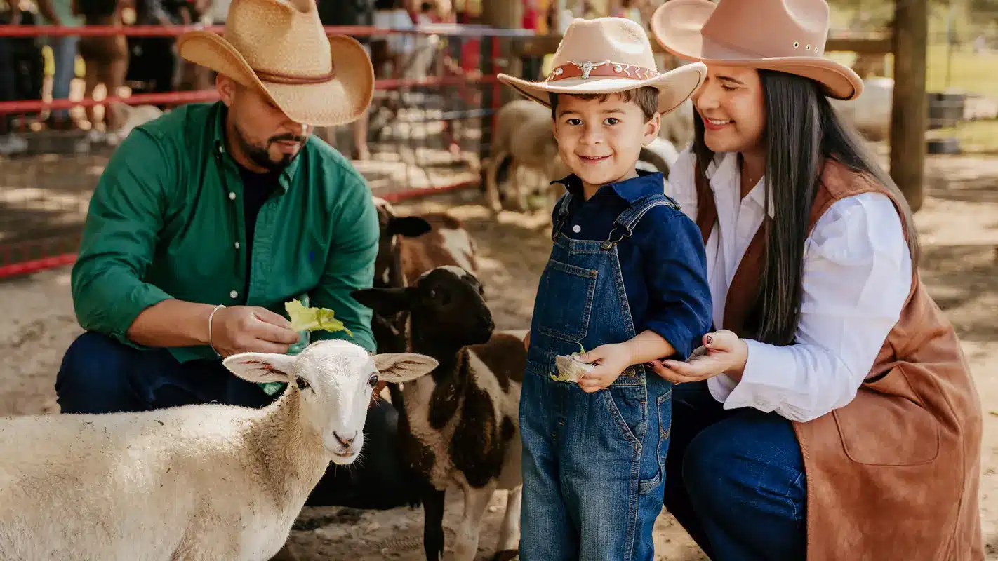 A child feeding an animal at the fence rail at Green Meadows Petting Farm in Kissimmee, Florida