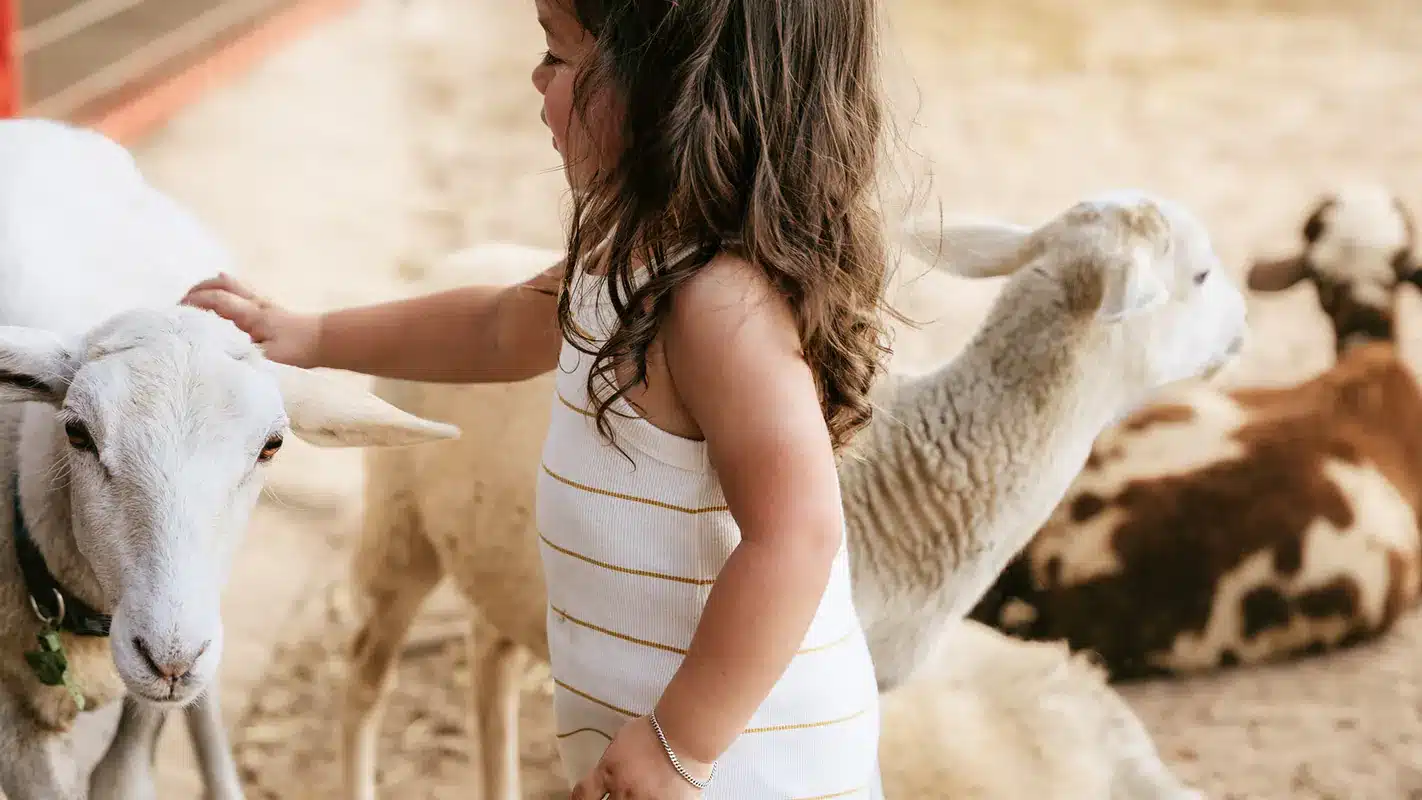 A young child holding a rabbit under the oak shade at Green Meadows Petting Farm