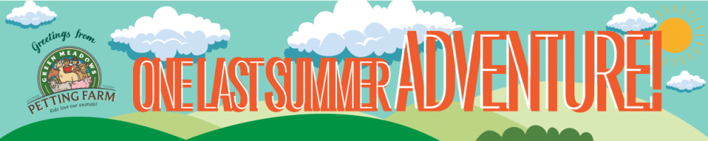 August Green Meadows Farm Summer Adventure