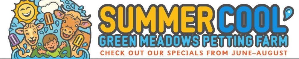 Summer-Cool.banner